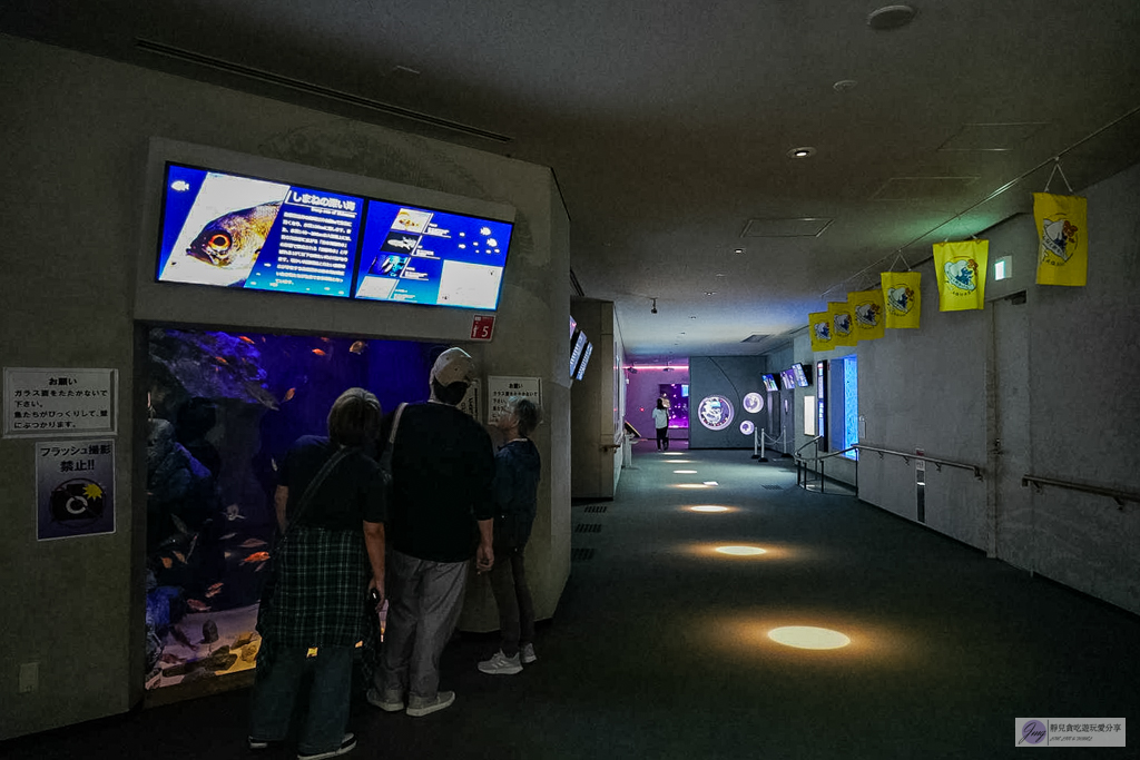島根海洋館AQUAS-西日本唯一能看白鯨的夢幻景點！幸福泡泡圈秀＆企鵝餵食超療癒 @靜兒貪吃遊玩愛分享