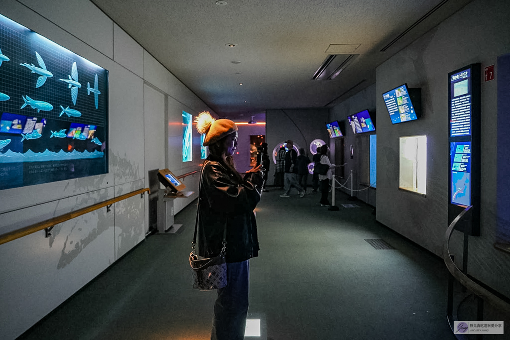 島根海洋館AQUAS-西日本唯一能看白鯨的夢幻景點！幸福泡泡圈秀＆企鵝餵食超療癒 @靜兒貪吃遊玩愛分享