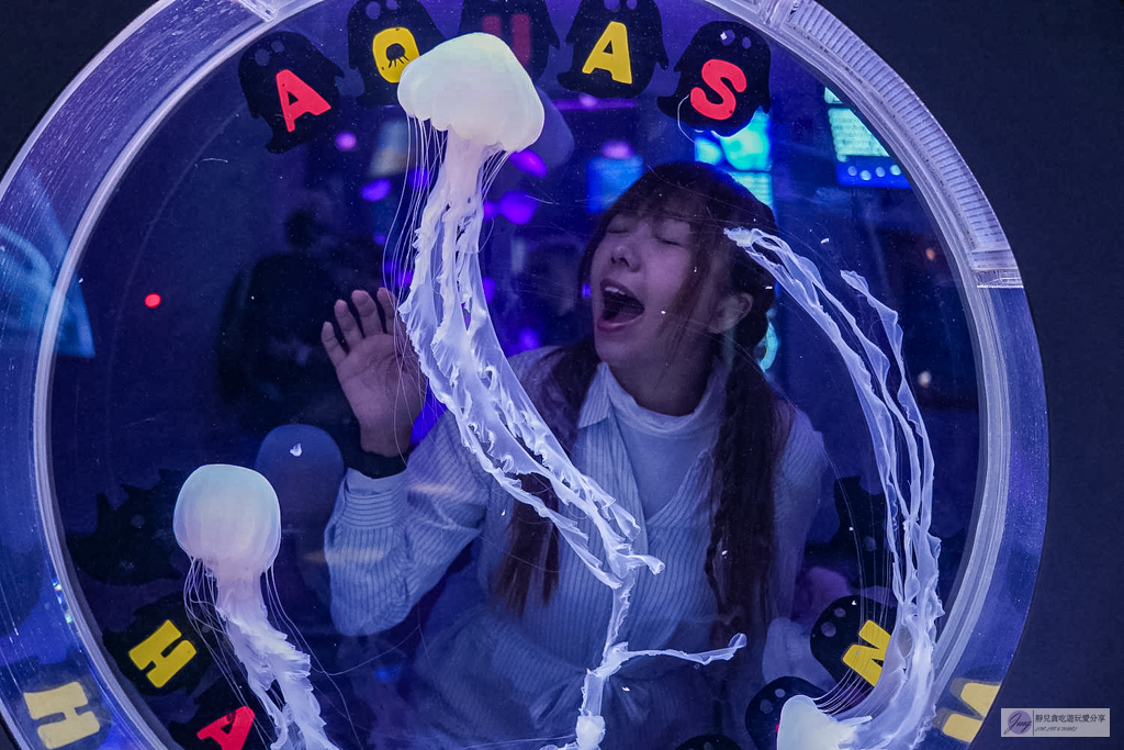 島根海洋館AQUAS-西日本唯一能看白鯨的夢幻景點！幸福泡泡圈秀＆企鵝餵食超療癒 @靜兒貪吃遊玩愛分享