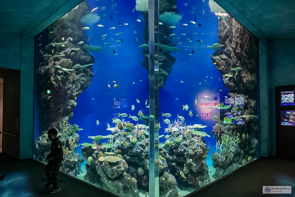 島根海洋館AQUAS-西日本唯一能看白鯨的夢幻景點！幸福泡泡圈秀＆企鵝餵食超療癒 @靜兒貪吃遊玩愛分享