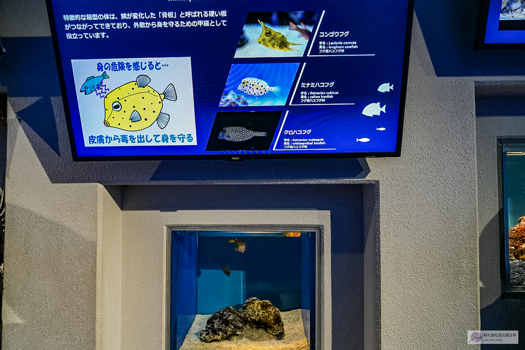 島根海洋館AQUAS-西日本唯一能看白鯨的夢幻景點！幸福泡泡圈秀＆企鵝餵食超療癒 @靜兒貪吃遊玩愛分享