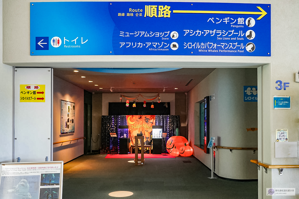 島根海洋館AQUAS-西日本唯一能看白鯨的夢幻景點！幸福泡泡圈秀＆企鵝餵食超療癒 @靜兒貪吃遊玩愛分享