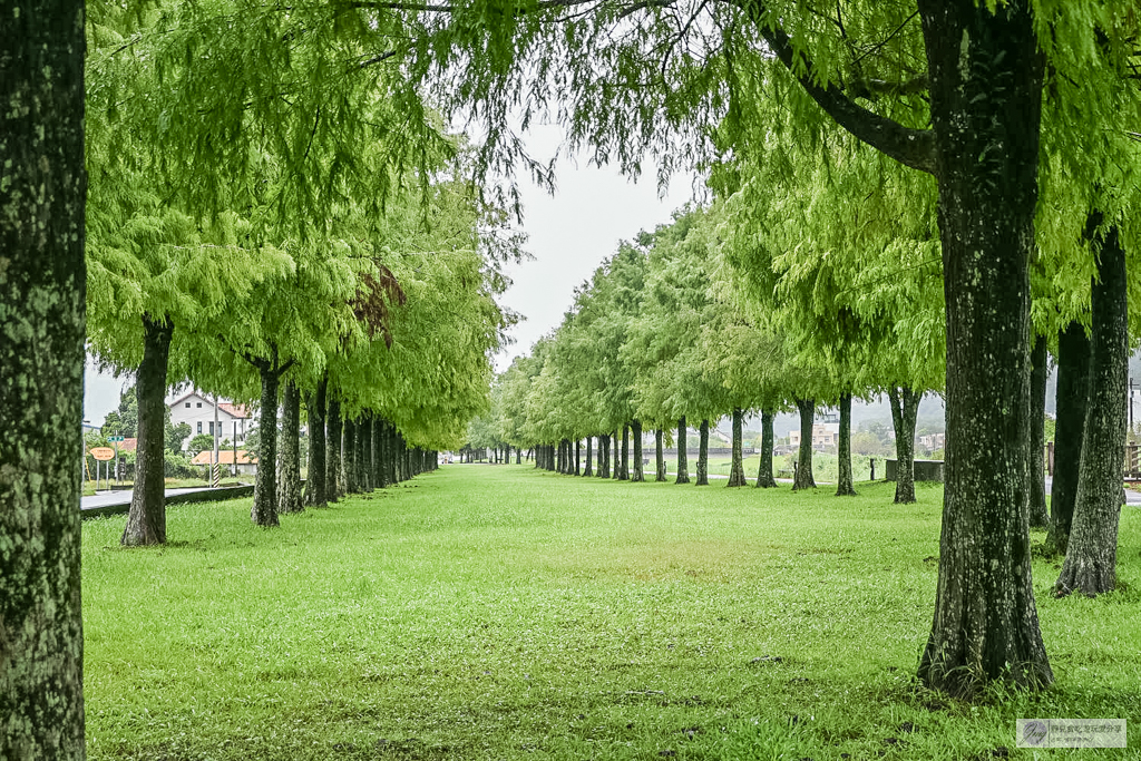 宜蘭兩日遊｜DIY活動：農作拔三星蔥、馬卡龍蔥派、甘蔗榨汁與辣椒冰淇淋 @靜兒貪吃遊玩愛分享