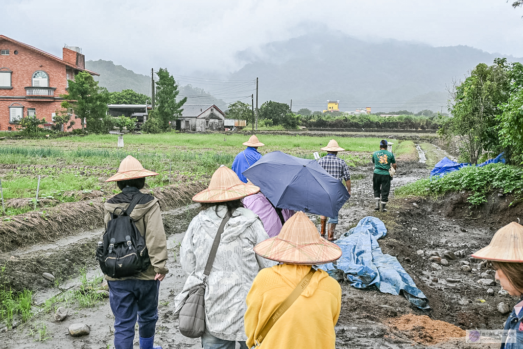 宜蘭兩日遊｜DIY活動：農作拔三星蔥、馬卡龍蔥派、甘蔗榨汁與辣椒冰淇淋 @靜兒貪吃遊玩愛分享