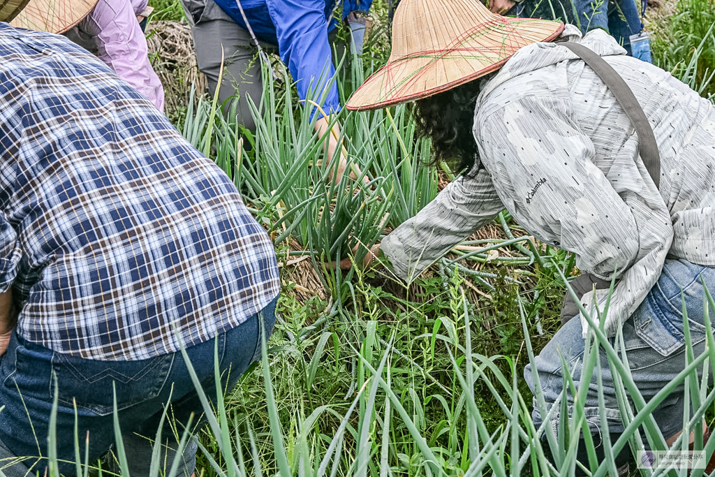 宜蘭兩日遊｜DIY活動：農作拔三星蔥、馬卡龍蔥派、甘蔗榨汁與辣椒冰淇淋 @靜兒貪吃遊玩愛分享