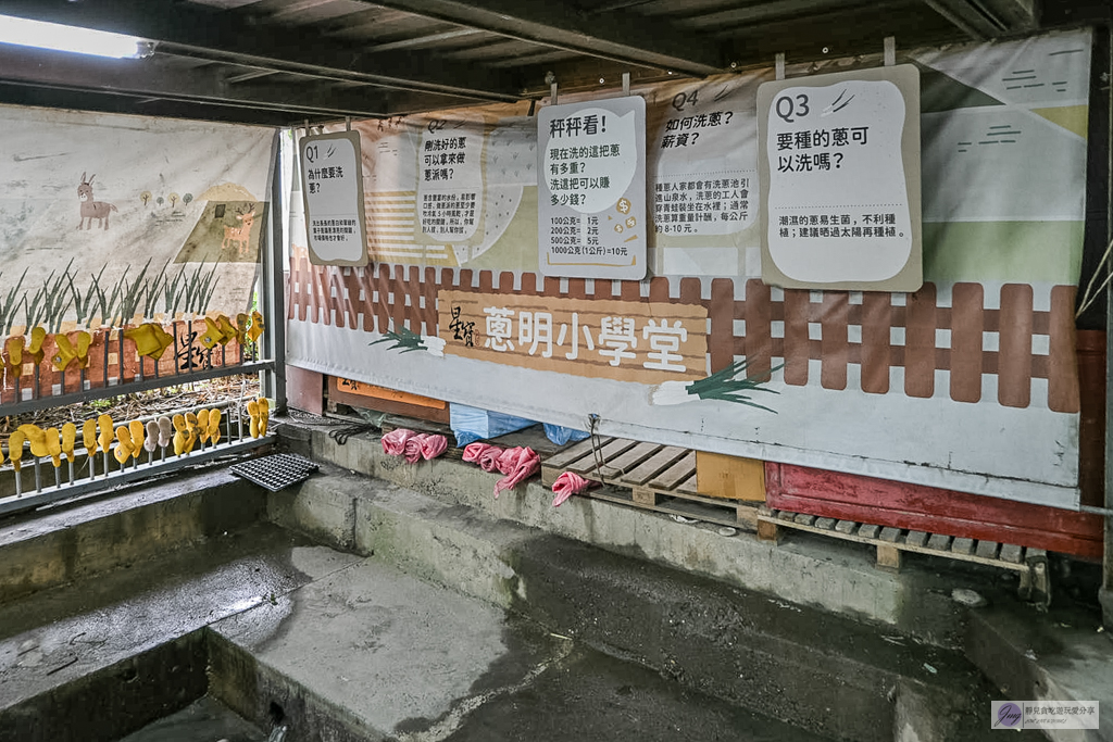 宜蘭兩日遊｜DIY活動：農作拔三星蔥、馬卡龍蔥派、甘蔗榨汁與辣椒冰淇淋 @靜兒貪吃遊玩愛分享