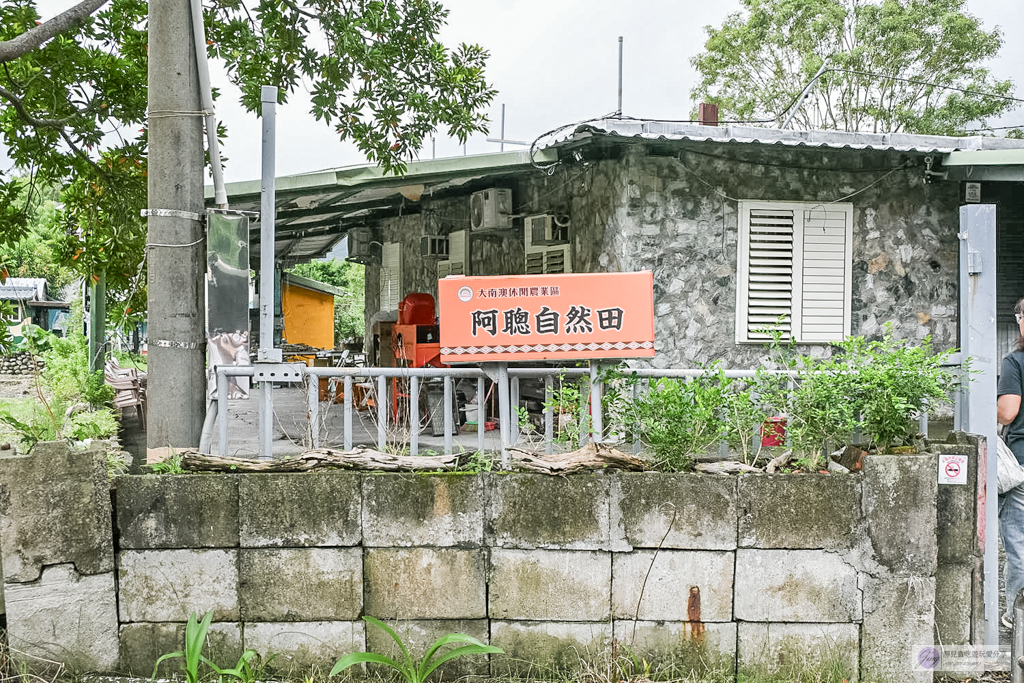宜蘭兩日遊｜DIY活動：農作拔三星蔥、馬卡龍蔥派、甘蔗榨汁與辣椒冰淇淋 @靜兒貪吃遊玩愛分享