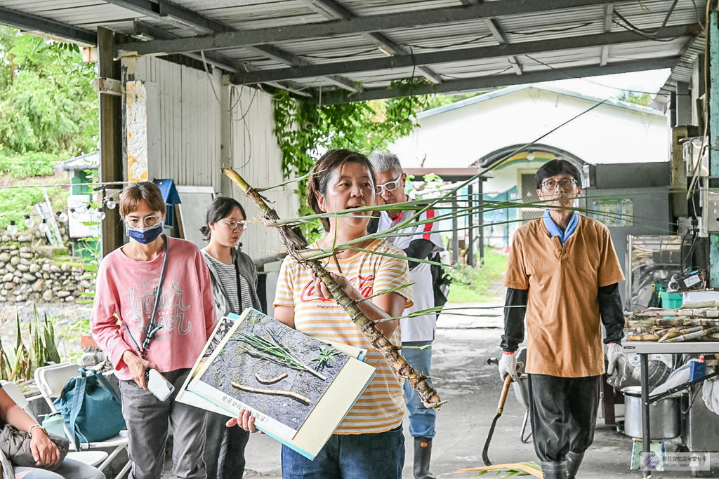 宜蘭兩日遊｜DIY活動：農作拔三星蔥、馬卡龍蔥派、甘蔗榨汁與辣椒冰淇淋 @靜兒貪吃遊玩愛分享
