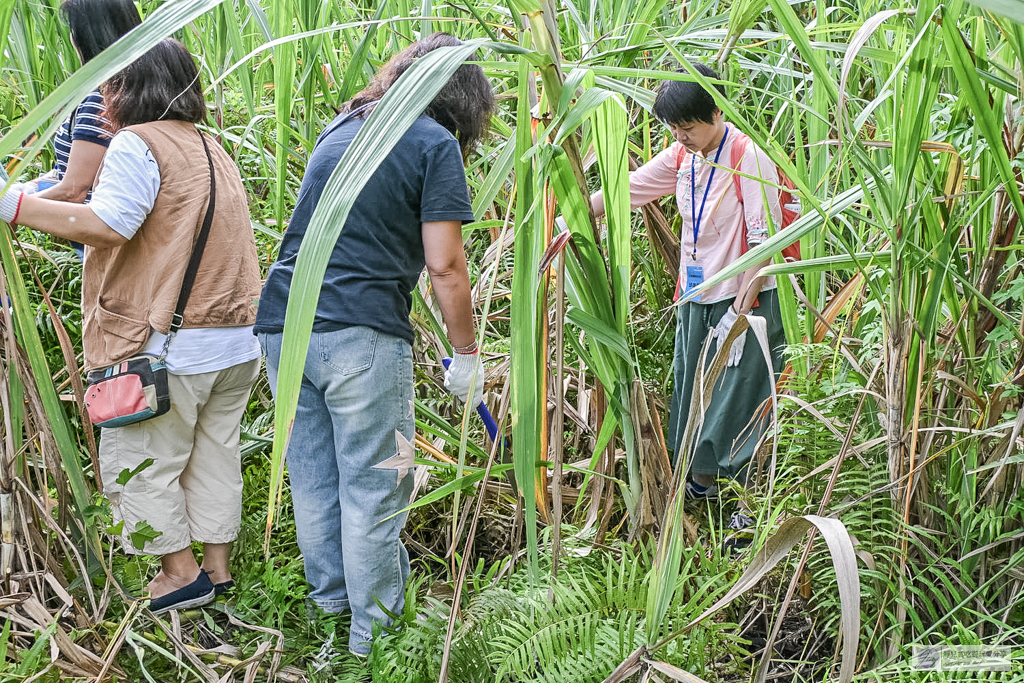 宜蘭兩日遊｜DIY活動：農作拔三星蔥、馬卡龍蔥派、甘蔗榨汁與辣椒冰淇淋 @靜兒貪吃遊玩愛分享