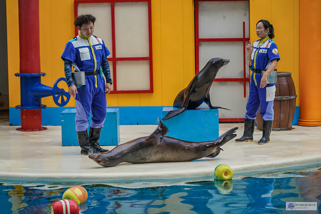 遠雄海洋公園-全台唯一美人魚秀！海豚表演時間、門票優惠總整理 @靜兒貪吃遊玩愛分享