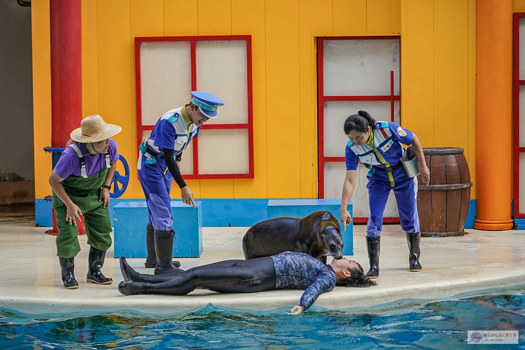 遠雄海洋公園-全台唯一美人魚秀！海豚表演時間、門票優惠總整理 @靜兒貪吃遊玩愛分享