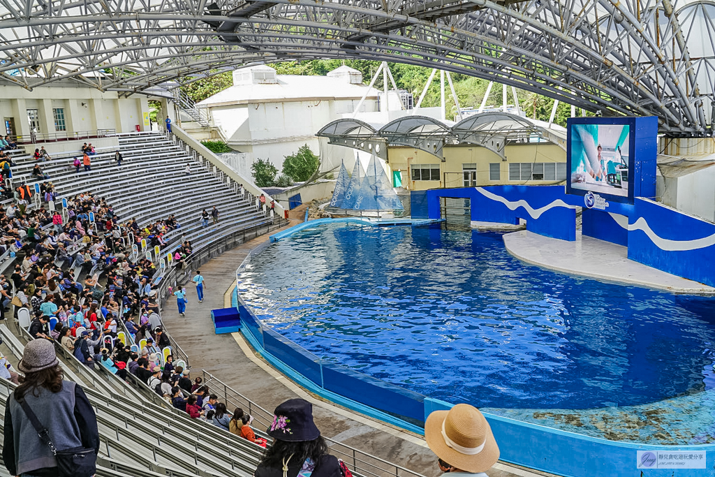 遠雄海洋公園-全台唯一美人魚秀！海豚表演時間、門票優惠總整理 @靜兒貪吃遊玩愛分享