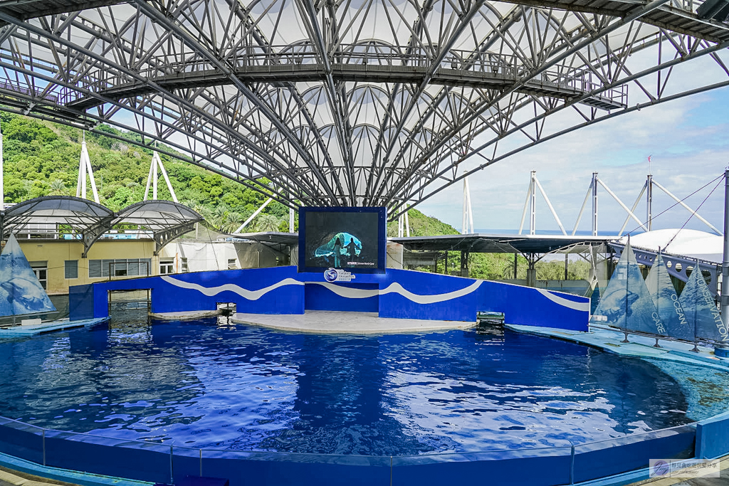 遠雄海洋公園-全台唯一美人魚秀！海豚表演時間、門票優惠總整理 @靜兒貪吃遊玩愛分享