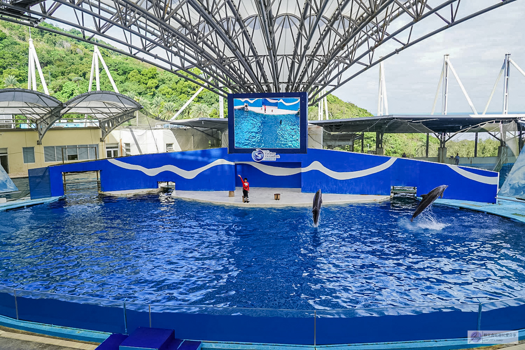 遠雄海洋公園-全台唯一美人魚秀！海豚表演時間、門票優惠總整理 @靜兒貪吃遊玩愛分享