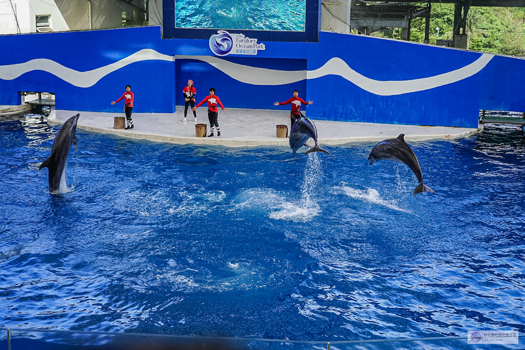 遠雄海洋公園-全台唯一美人魚秀！海豚表演時間、門票優惠總整理 @靜兒貪吃遊玩愛分享