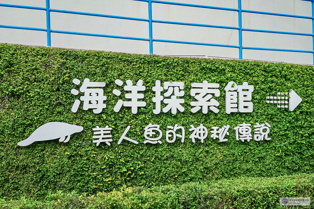 遠雄海洋公園-全台唯一美人魚秀！海豚表演時間、門票優惠總整理 @靜兒貪吃遊玩愛分享