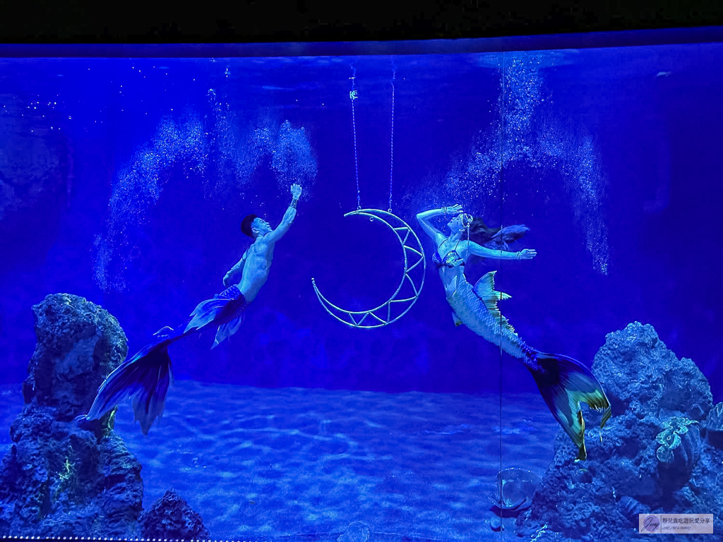 遠雄海洋公園-全台唯一美人魚秀！海豚表演時間、門票優惠總整理 @靜兒貪吃遊玩愛分享