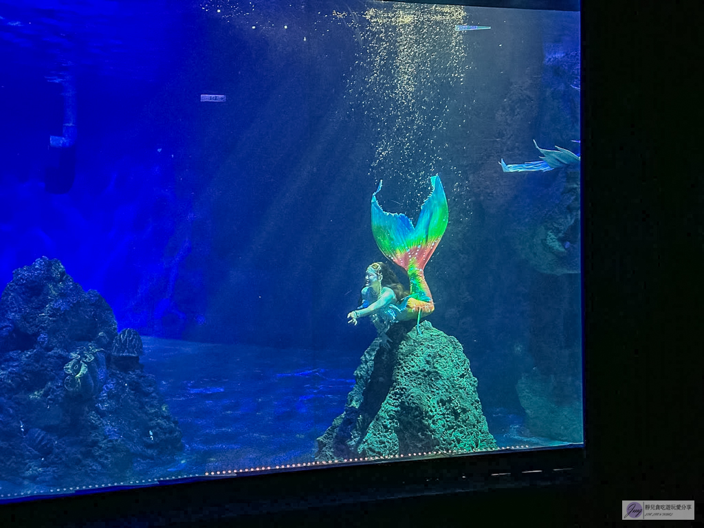 遠雄海洋公園-全台唯一美人魚秀！海豚表演時間、門票優惠總整理 @靜兒貪吃遊玩愛分享