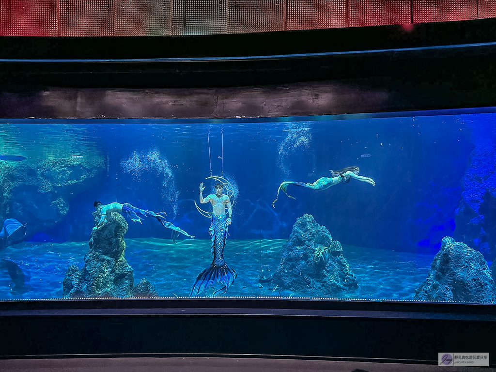 遠雄海洋公園-全台唯一美人魚秀！海豚表演時間、門票優惠總整理 @靜兒貪吃遊玩愛分享
