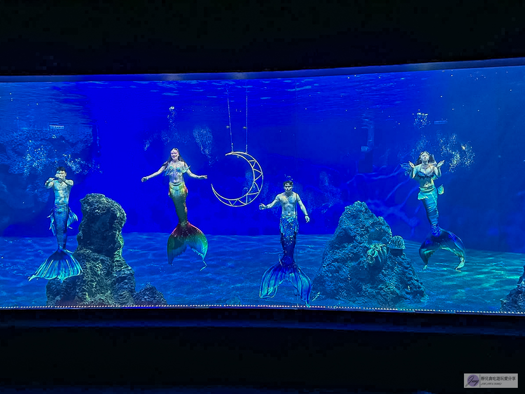 遠雄海洋公園-全台唯一美人魚秀！海豚表演時間、門票優惠總整理 @靜兒貪吃遊玩愛分享