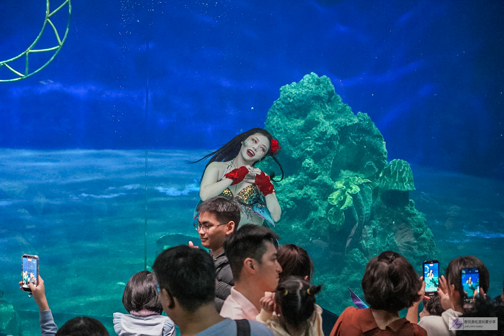 遠雄海洋公園-全台唯一美人魚秀！海豚表演時間、門票優惠總整理 @靜兒貪吃遊玩愛分享