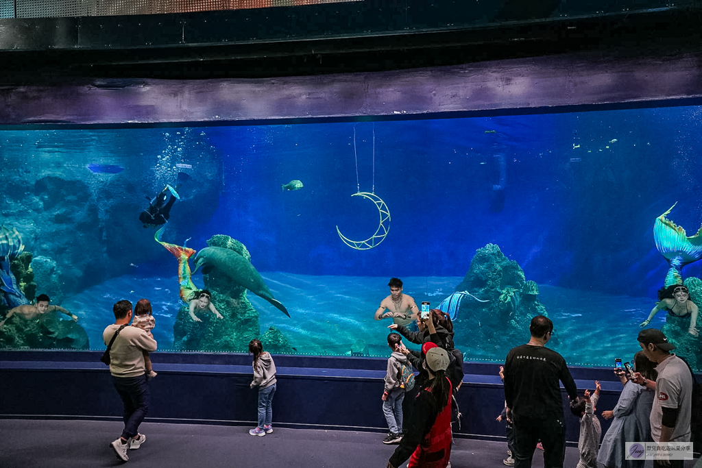 遠雄海洋公園-全台唯一美人魚秀！海豚表演時間、門票優惠總整理 @靜兒貪吃遊玩愛分享