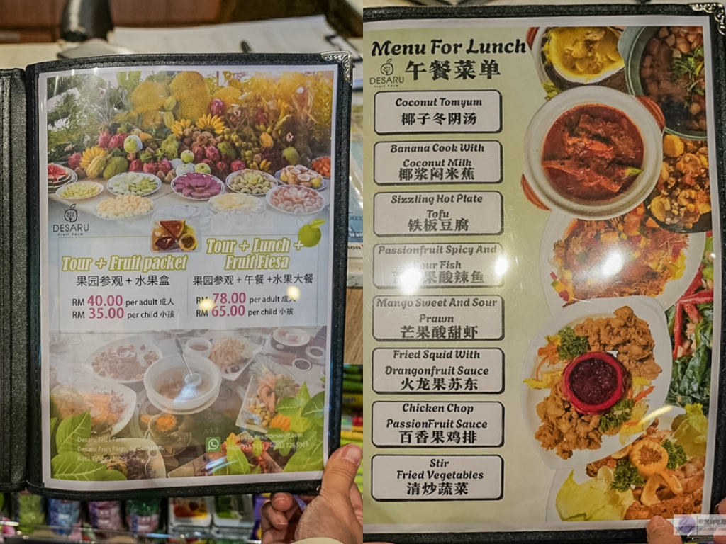 【馬來西亞】迪沙魯水果園必玩5大亮點｜水果吃到飽、ATV越野車、騎馬餵動物 @靜兒貪吃遊玩愛分享