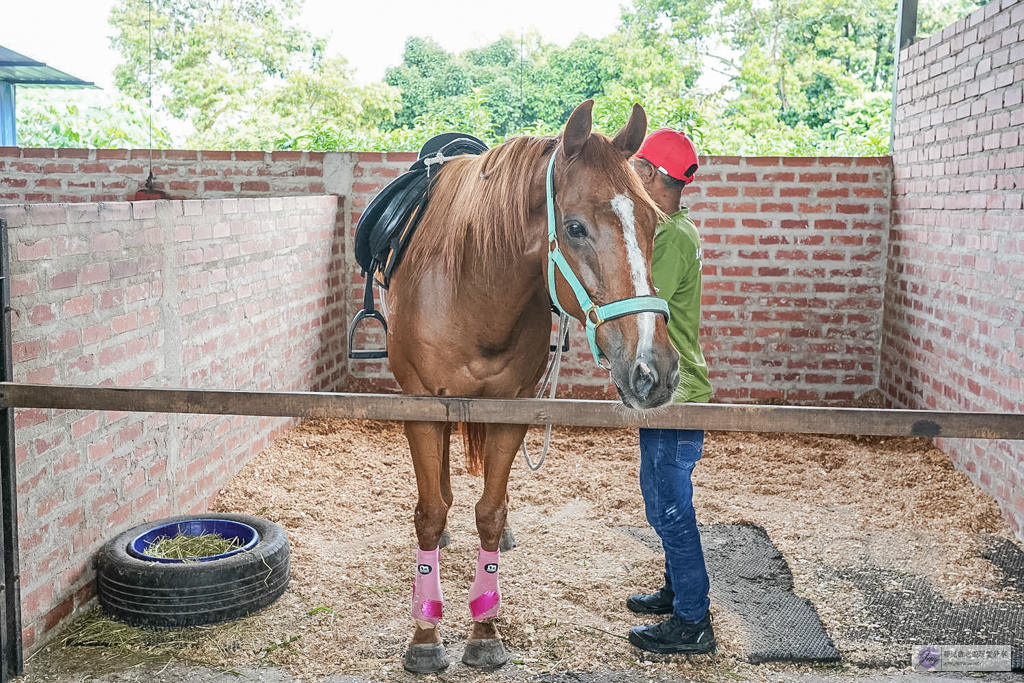 【馬來西亞】迪沙魯水果園必玩5大亮點|水果吃到飽、ATV越野車、騎馬餵動物 @靜兒貪吃遊玩愛分享 【馬來西亞】迪沙魯水果園必玩5大亮點|水果吃到飽、ATV越野車、騎馬餵動物 @靜兒貪吃遊玩愛分享