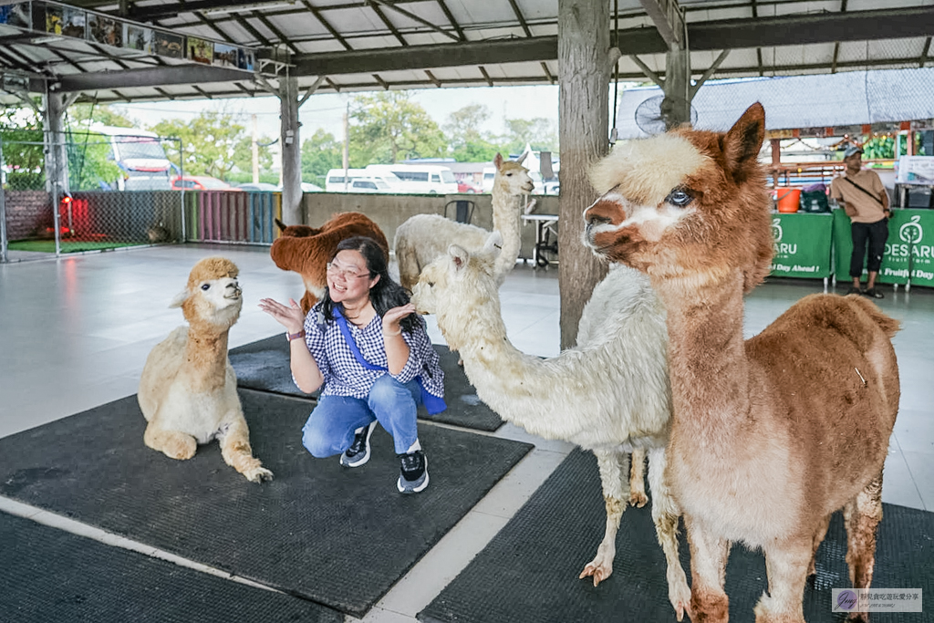 【馬來西亞】迪沙魯水果園必玩5大亮點|水果吃到飽、ATV越野車、騎馬餵動物 @靜兒貪吃遊玩愛分享 【馬來西亞】迪沙魯水果園必玩5大亮點|水果吃到飽、ATV越野車、騎馬餵動物 @靜兒貪吃遊玩愛分享