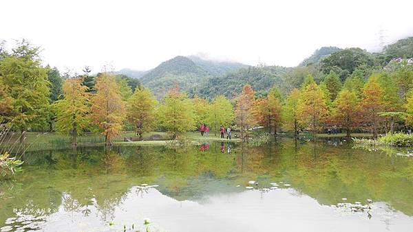 &infin;輕旅行&infin;苗栗。南庄雲水度假森林-彷彿世外桃源絕美落羽松秘境之一/IG拍照打卡景點 @靜兒貪吃遊玩愛分享